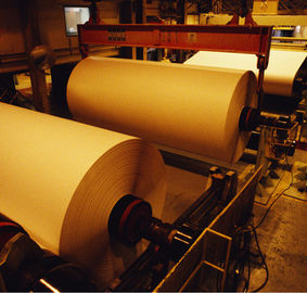 تقویت کننده کاغذ عامل ساخت مواد شیمیایی آنیونی / کاتیونی پلی آکریل آمید